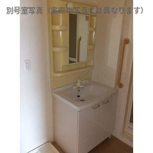 サンコート桃花台B棟の洗面所