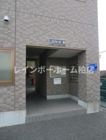 【仲介手数料：50％OFF】対象物件！のエントランス|ゆとりのあるエントランスです