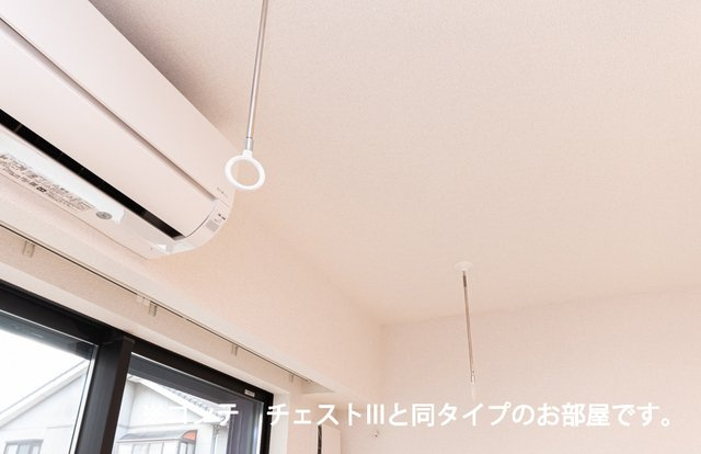 フルール　ベールのその他