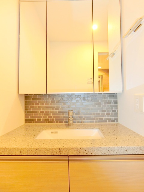 ザ・パークハビオ大森山王の洗面所