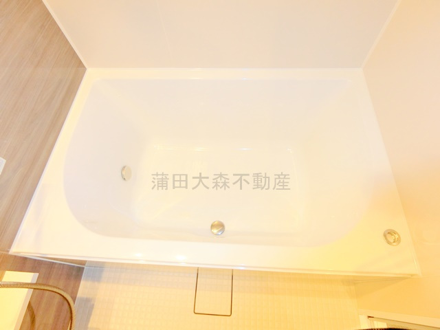 ザ・パークハビオ大森山王の浴室