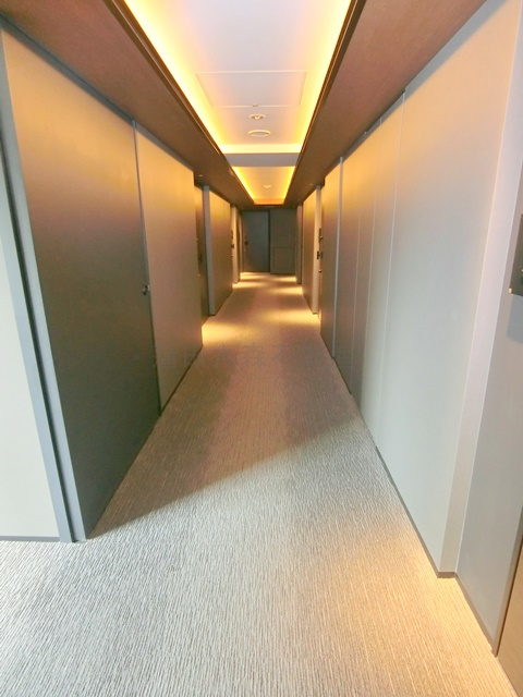 ザ・パークハビオ大森山王のその他共用部分|共用廊下