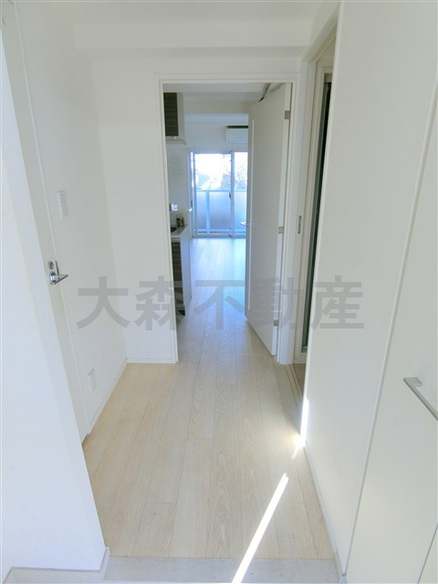 ハーモニーレジデンス大森山王＃002の玄関|玄関