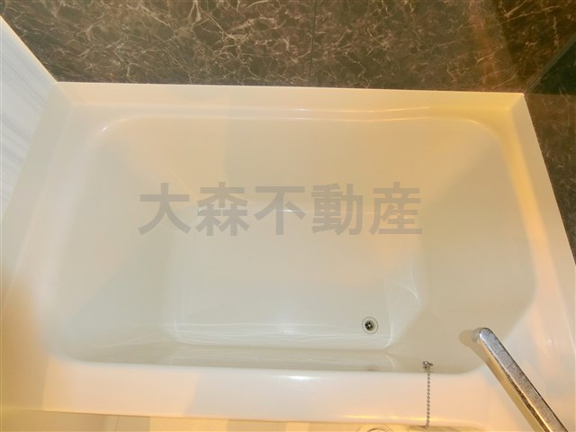 ハーモニーレジデンス大森山王＃002の浴室