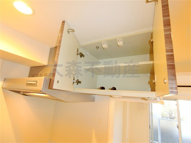 ハーモニーレジデンス大森山王＃002の収納