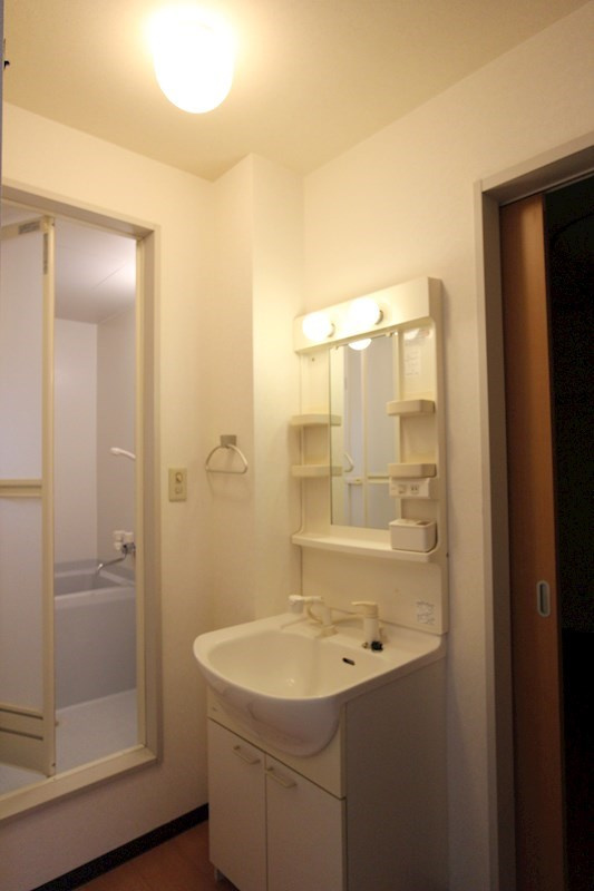 メゾン・セシリアの洗面所