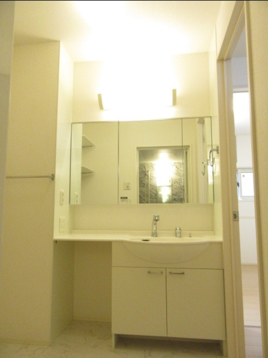 D-room OMODAKAB棟の洗面所