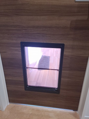 【その他】 | Ｃファースト