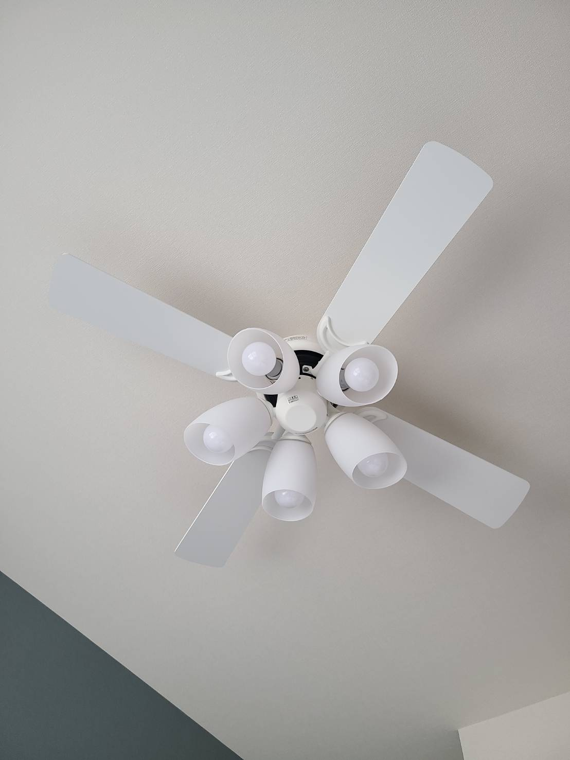 シャルムニシオギ