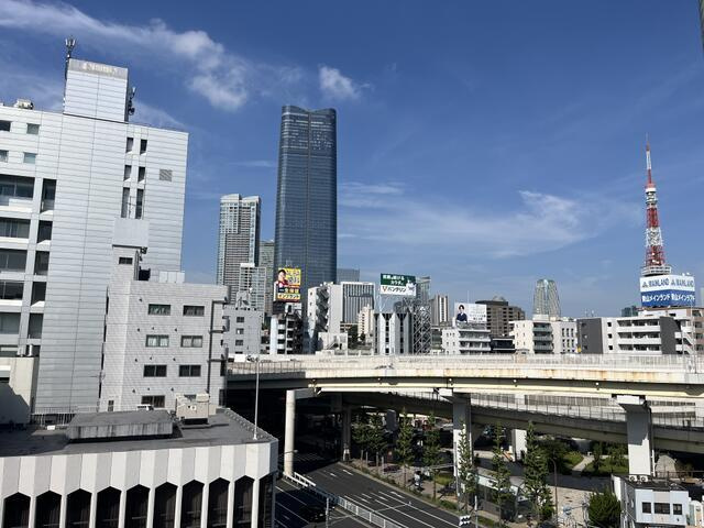 港区麻布十番３丁目の賃貸マンションの展望| 