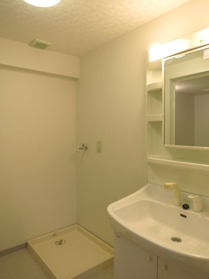 ラアミスタ武蔵浦和の洗面所|独立洗面台、室内洗濯機置き場