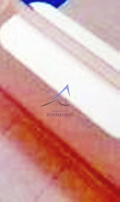 メゾン・ド・ヴィレ駒形