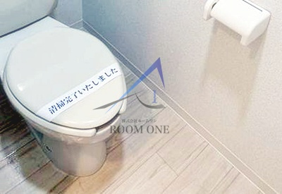 メゾン・ド・ヴィレ駒形のトイレ|トイレです。