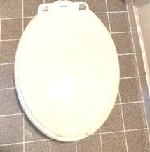 【トイレ】 | ハイム宮仲