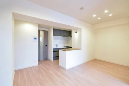 東急ドエルアルス根津の居間・リビング|新規リノベーションマンションにつき快適に新生活をスタートできます