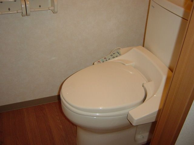 グレイスサンハイムⅡのトイレ