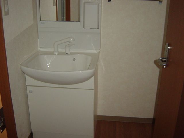 グレイスサンハイムⅡの洗面所