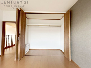 衣類やアクセサリー、小物類の収納が便利で整理整頓がしやすく、部屋の美観を保ちつつ、スペースを最大限に活用できます。衣服のしわやダメージを防ぎ、長持ちさせることができます。