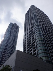 東京ツインパークス・レフトウィングの画像