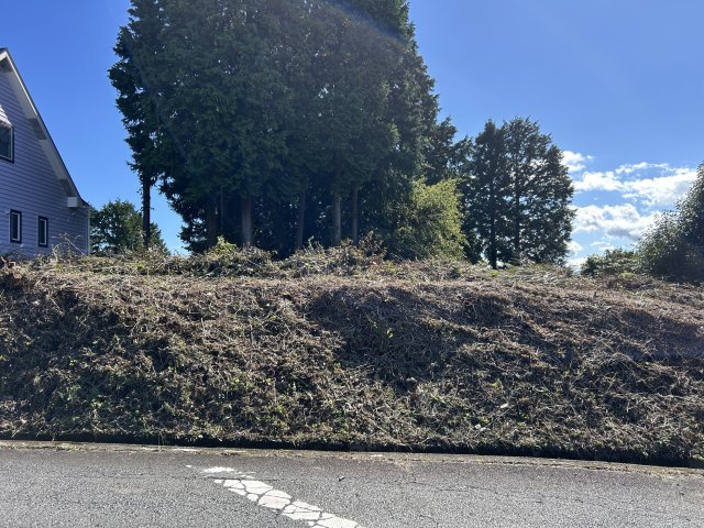 伊豆の国市　富士見ニュータウンの前面道路含む現地写真