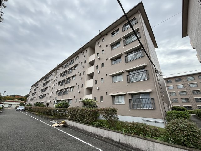 の-の画像