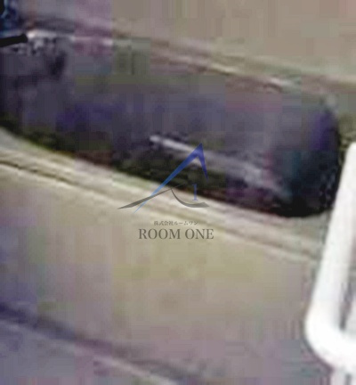 Ｆｏｒｅｓｔ　ｍａｉｓｏｎ白鳥