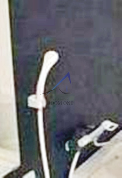 Ｆｏｒｅｓｔ　ｍａｉｓｏｎ白鳥