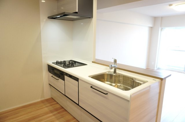 日商岩井草加マンションのキッチン