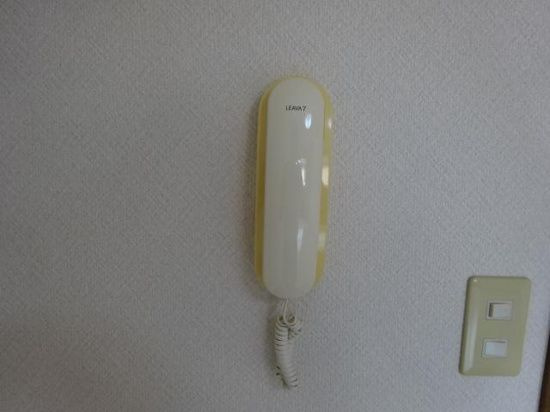 パブリック一番館　　　刈谷市近郊の賃貸はクラスホーム刈谷店のセキュリティ