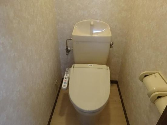 パブリック一番館　　　刈谷市近郊の賃貸はクラスホーム刈谷店のトイレ