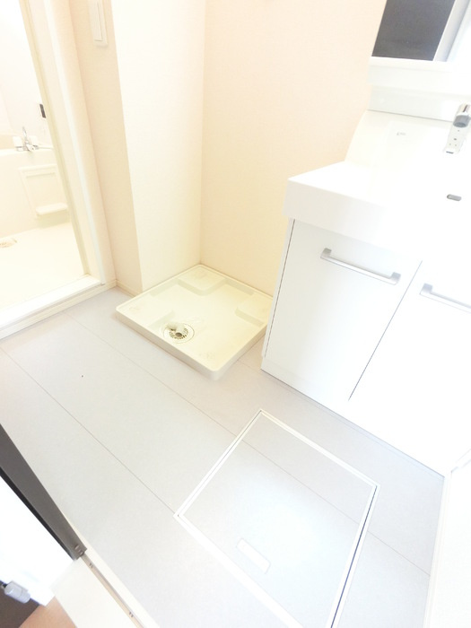 アネシスＢのその他