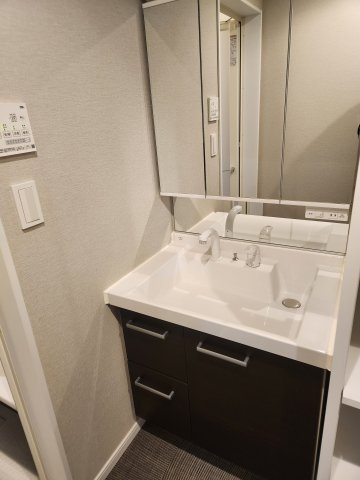 Shirokanedai3の洗面所