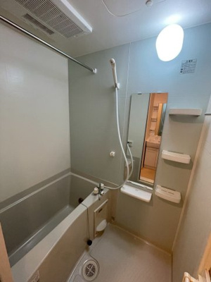 【浴室】 | ｍｏｍｏの樹