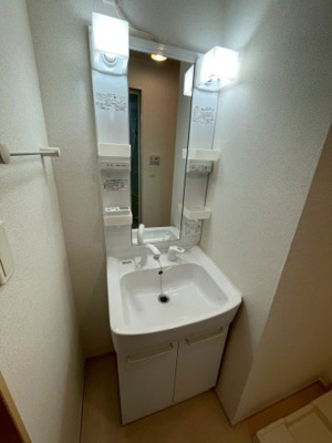 【独立洗面台】 | ｍｏｍｏの樹