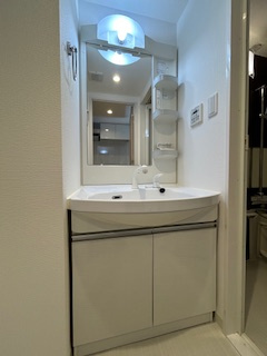 MDI.J Esaka Courtの独立洗面台|独立洗面台、小物を置くことができて便利です