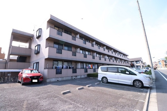 エーデルワイス