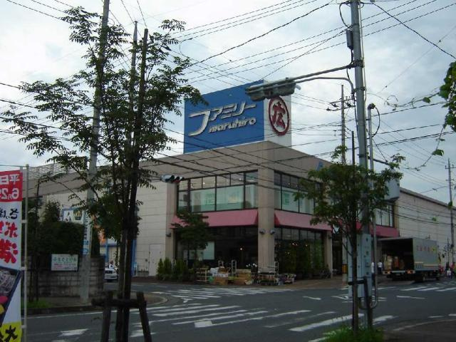 シェルディオスの周辺|丸広百貨店日高店まで533ｍ