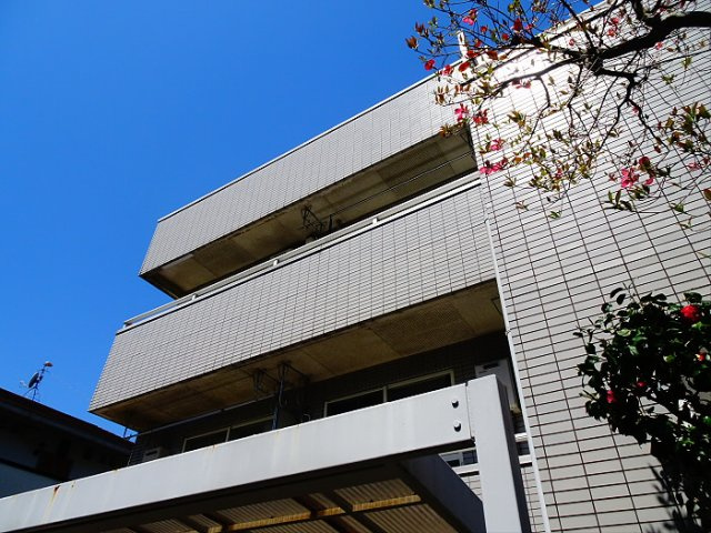 カステーロフチ