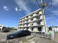 エレガンスポアソンの画像