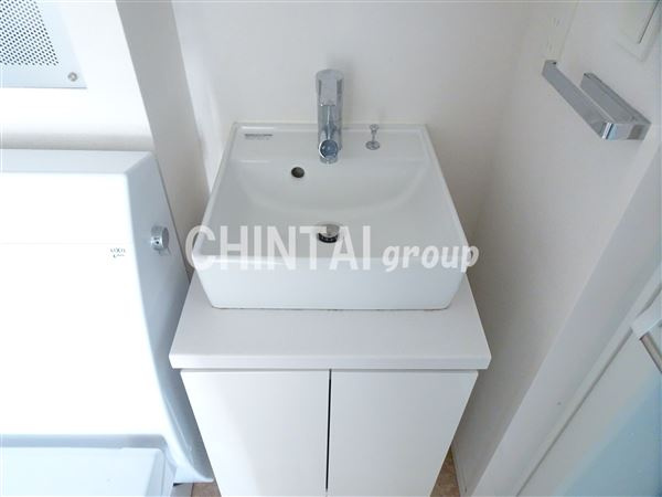 ミレドゥーエ下北沢Ⅰの洗面所