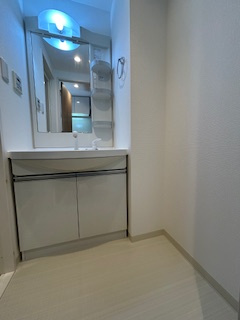 MDI.J Esaka Courtの洗面所|洗面所です