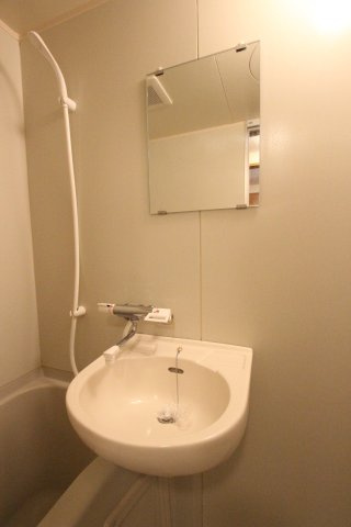 エメラルドノービレⅡの洗面所