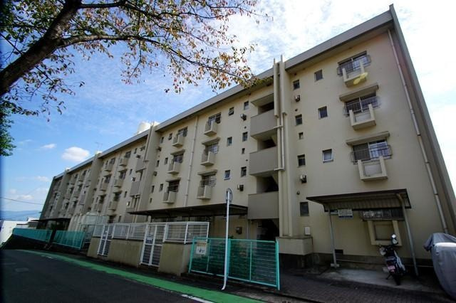 福岡市南区長丘２丁目の賃貸マンションの外観