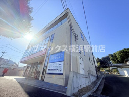 グリシーナの画像