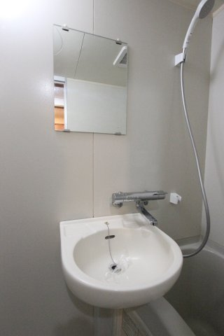 エメラルドノービレⅡの洗面所