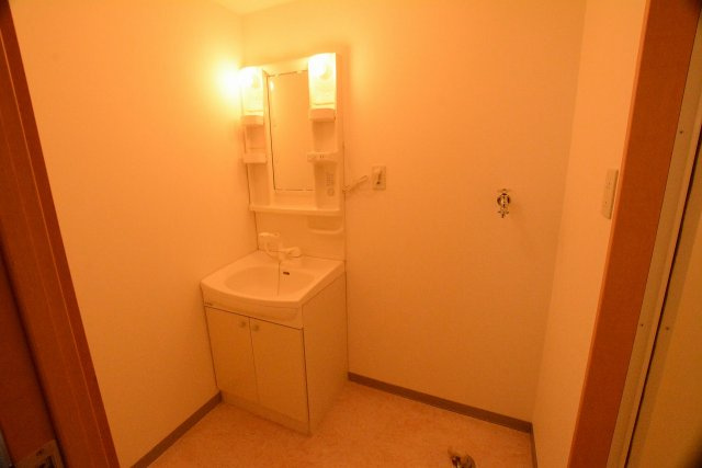 ミルーム津福の洗面所|広々とした使いやすい洗面所です