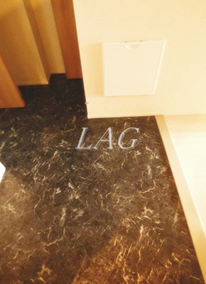 【玄関】 | ビアンカ浦和 | 玄関です。（同仕様です。）