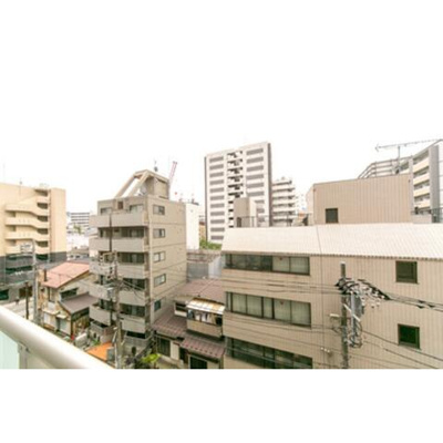 【展望】 | Dormouse Fine