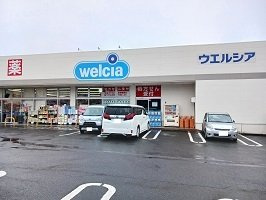 メゾン　ノブレスの周辺|ウエルシアまで140m