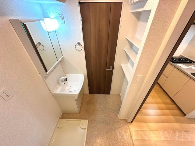 M グレインⅤの洗面所